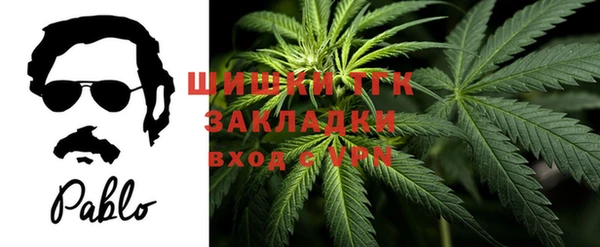 хмурый Богородицк