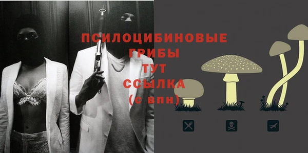 соль курить ск Бугульма