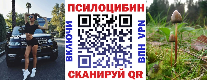 Галлюциногенные грибы Magic Shrooms  Заволжье 
